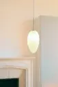 Vallons Obscurs 1 Pendant Light - Frosted